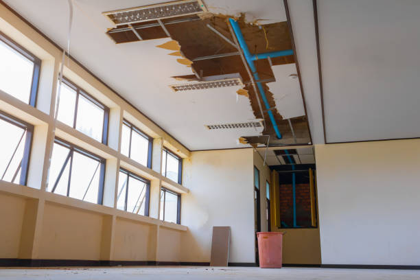 Best Water damage cleanup near me  in Fort Pierre, SD