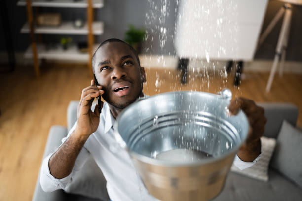 Best Basement water damage restoration  in Fort Pierre, SD