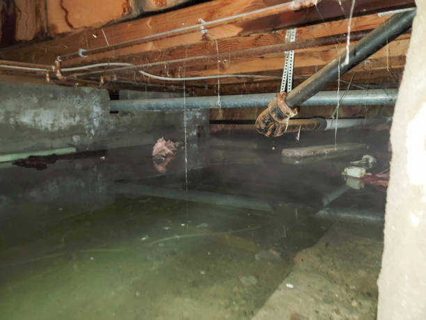 Best Water damage restoration near me  in Fort Pierre, SD
