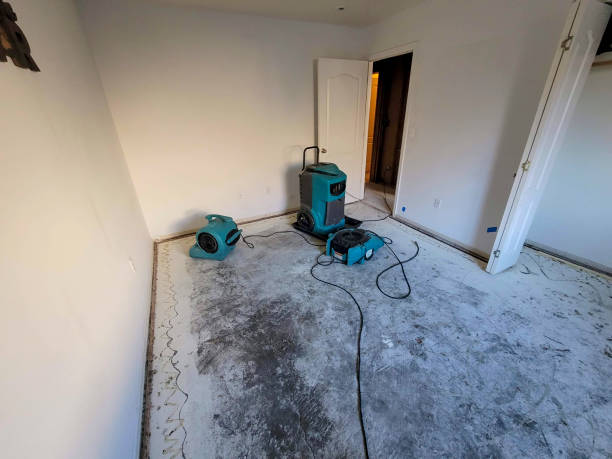 Best Water damage restoration near me  in Fort Pierre, SD