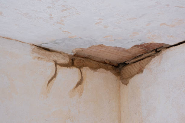 Best 24/7 water damage repair  in Fort Pierre, SD