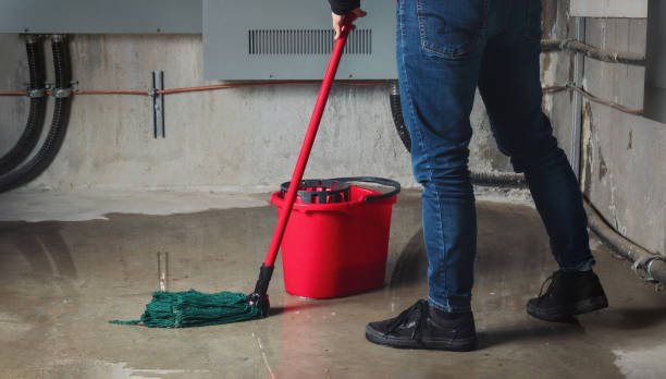 Water damage restoration mold remediation in Fort Pierre, SD