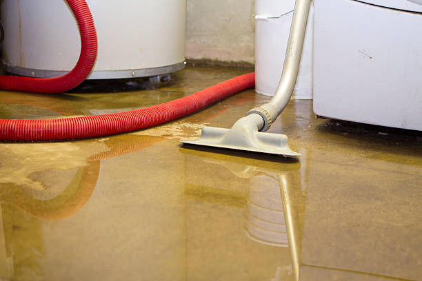 Best Carpet water damage restoration  in Fort Pierre, SD