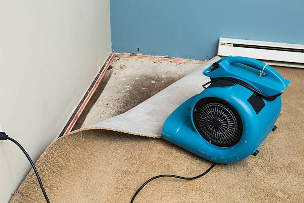 Best 24-hour water damage restoration  in Fort Pierre, SD